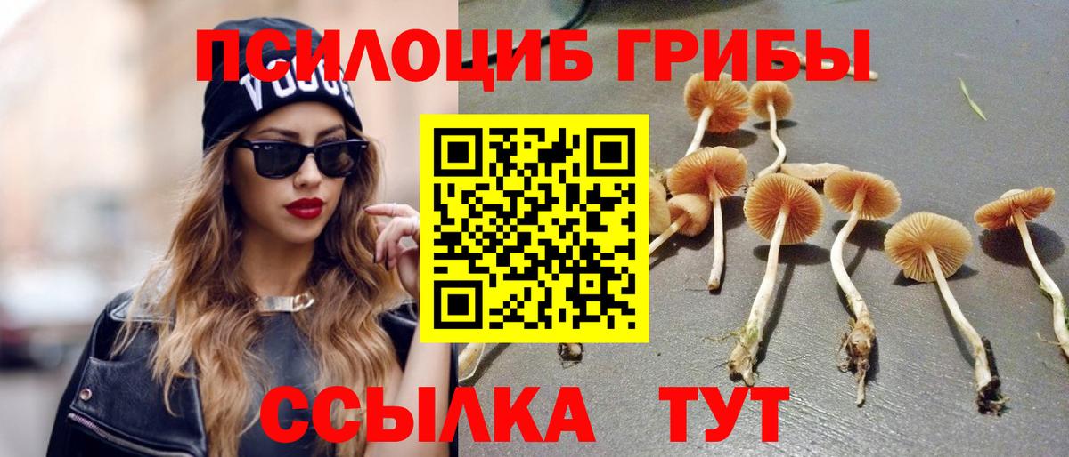 Гусь-Хрустальный  Галлюциногенные грибы Psilocybe  Вход с VPN 